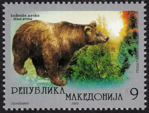Macedonia postage stamp year 2003 Brown bear 1v MNH
