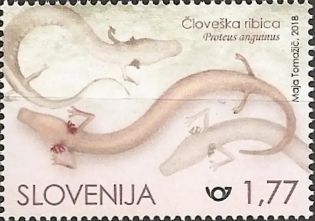 Slovenia year 2018 Anniversary of the Human Fish stamps MNH