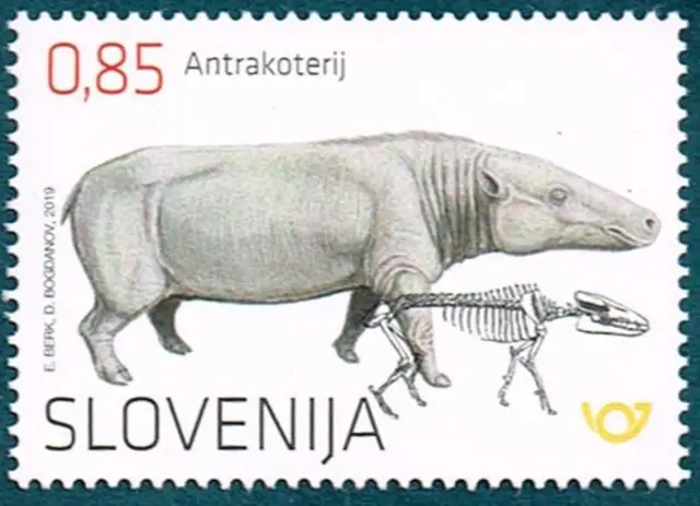 Slovenia year 2019 Fossil Mammals postage stamp- Anthracothere 