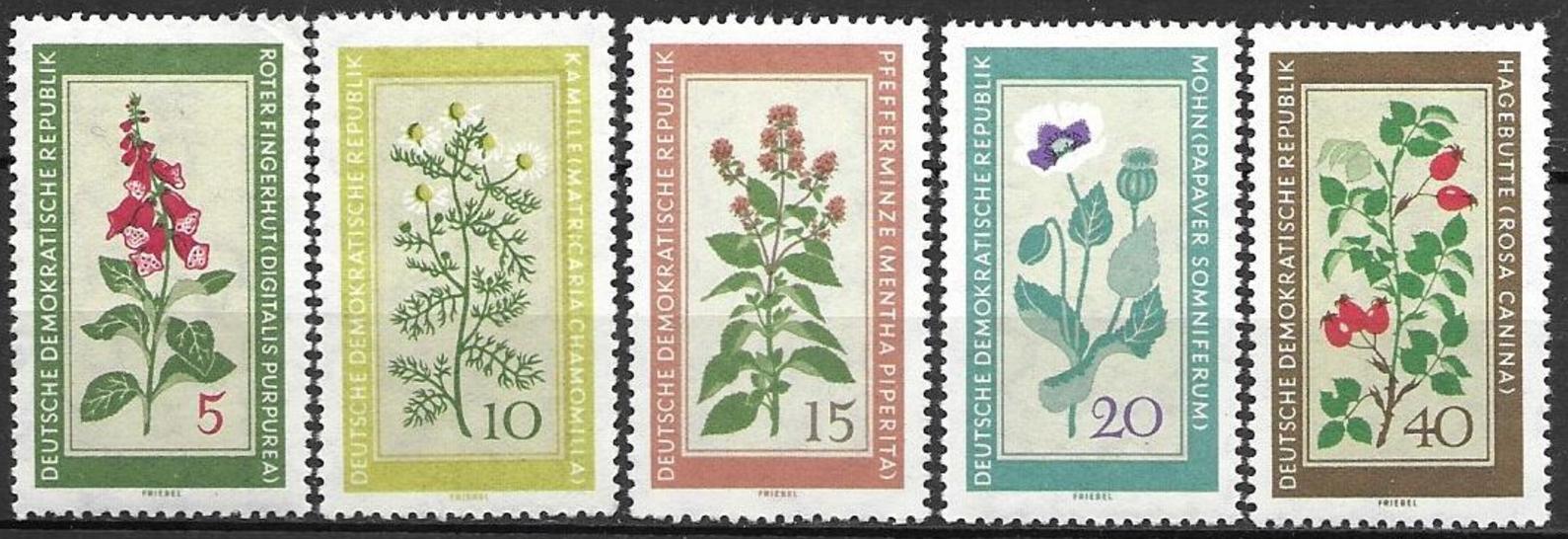 DDR year 1960 Flora stamps Medicinal Plants set MNH