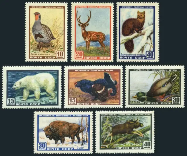 Russia stamps year 1957 Fauna Animals Wild Life MNH set