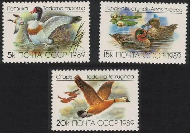 Russia postage stamps year 1989 Fauna Birds ducks set