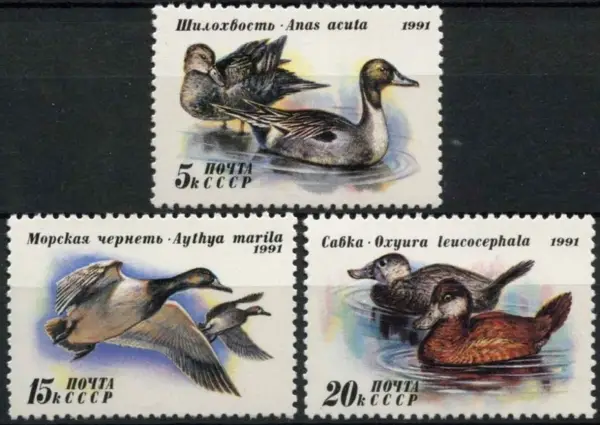 Russia postage stamps year 1991 Fauna Birds ducks set