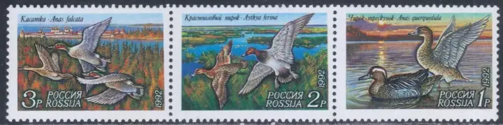 Russia postage stamps year 1992 Fauna Birds Wild ducks set