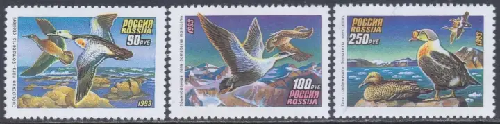 Russia postage stamps year 1993 Fauna Birds Wild ducks set