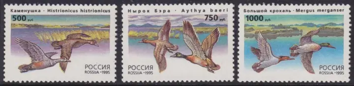 Russia postage stamps year 1995 Fauna Birds Wild ducks set